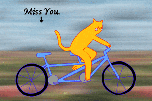 Illustrated gif. An orange cat riding a tandem bicycle while frowning. Text pointing to the missing seat says "miss you."