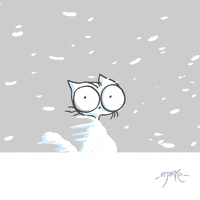 Freezing Cat GIF by marko