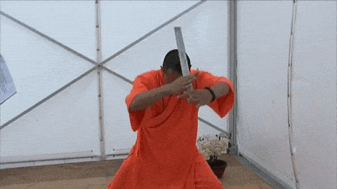 Shaolin meme gif