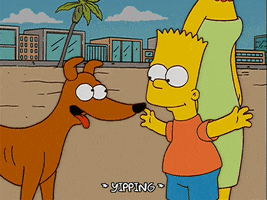 200.gif?cid=fc005b08f5c53acaae864e2272ebd1e03604f4b3d56c6d94&rid=200.gif&ct=g