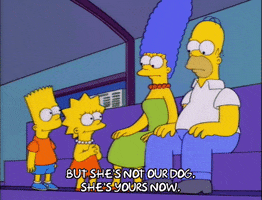 200.gif?cid=fc005b08c23534f05be9f6f3008493f9fb7d0e44d605651c&rid=200.gif&ct=g