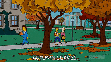 200.gif?cid=fc005b084c2884027ef7ecbc9e04b5a809f727e2ea64fa2b&rid=200.gif&ct=g