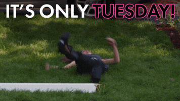 Amy Poehler Its Only Tuesday GIF by Sisters