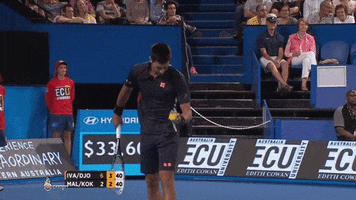 jerrykuonodjsego ha gotcha got you djokovic GIF