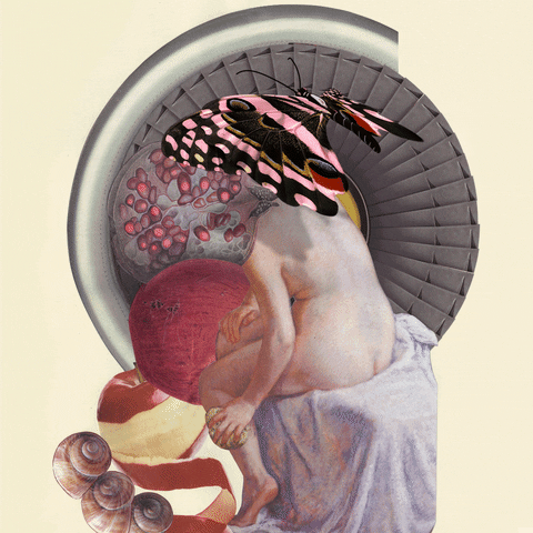 Woman Collage GIF by Isabel Chiara