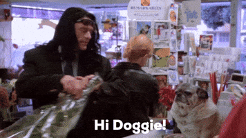 tommy wiseau dog GIF by The Room