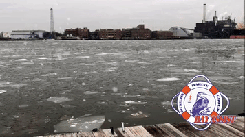 Deckelman Baltimore Boat Towing GIF