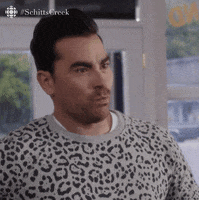 Dont Think It Works Like That Schitts Creek GIF by CBC