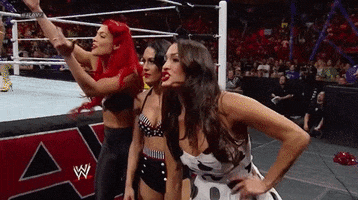 lets go bella twins and eva marie GIF by WWE