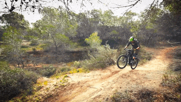 rebel bikes GIF by Electric Cyclery