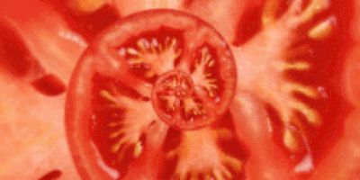Tomato Quindo GIF