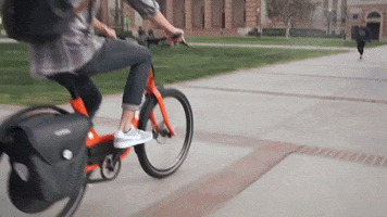 california student GIF by Electric Cyclery
