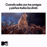 Nuevos-amigos GIFs - Get the best GIF on GIPHY