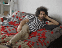 Best Rose Petals Gifs Primo Gif Latest Animated Gifs