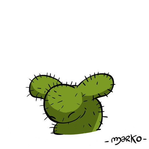 happy cactus GIF by marko