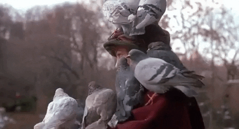 Lonely Home Alone 2 GIF by 20th Century Fox Home Entertainment - Find & Share on GIPHY