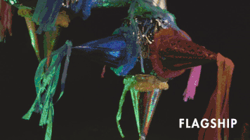 Flagship music indie indie rock flagship GIF