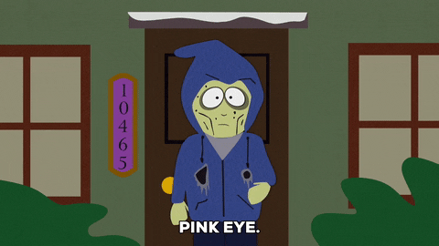 giphy.gif