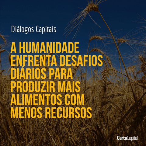 diÃ¡logos capitais - exportaÃ§Ãµes agrÃ­colas GIF by CartaCapital