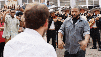 Ice Cube Film GIF by Fist Fight