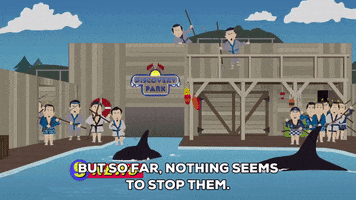 killer whales spears GIF by South Park 