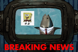 spongebob squarepants GIF by Nickelodeon