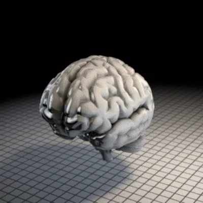 giphy.webp?cid=ecf05e47553d331fe874c458a