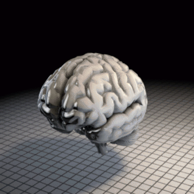 Brain GIF by Martin Onassis