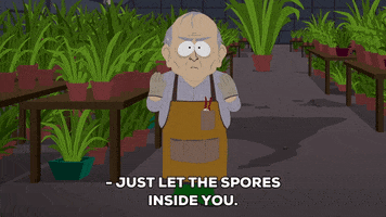 plant gardener GIF by South Park 