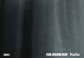 discovering fear the walking dead GIF by HULU