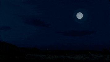 full moon omg GIF by Showtime