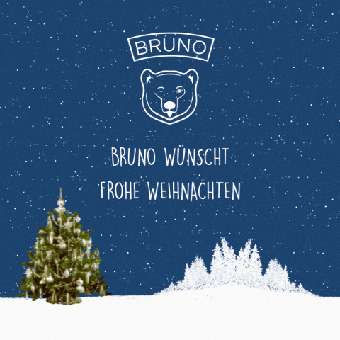 Merry Christmas GIF by Bruno