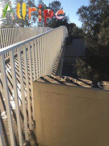 allripe fruits motor ways - cable lines gardens in motorways GIF