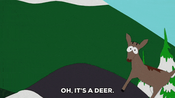 mountain deer GIF by South Park 