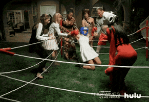 the hotwives of las vegas boxing GIF by HULU