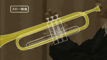 ruudcaris  GIF