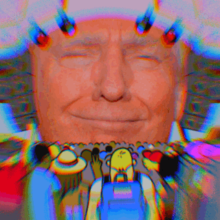 dnwltrs trump GIF