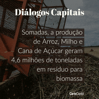 diÃ¡logos capitais - exportaÃ§Ãµes agrÃ­colas GIF by CartaCapital