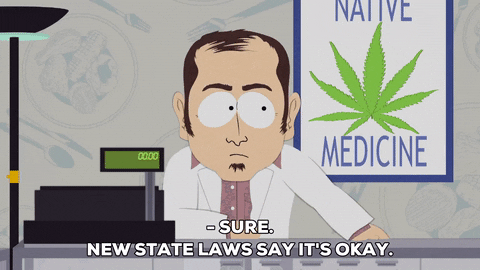 medical marijuana doctor talking GIF by South Park