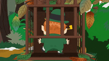 cage leprechaun GIF by South Park 