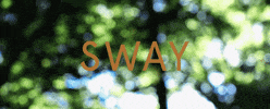 sway GIF by Household