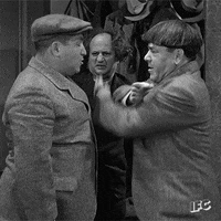 Three Stooges GIF by IFC