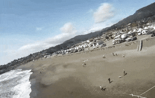 miquelcorbialbella  GIF