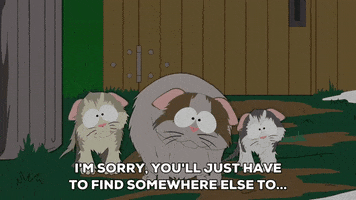 sad kittens GIF by South Park 