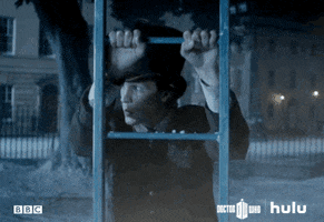 dr who ladder GIF by HULU
