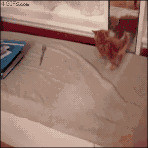 charming  GIF
