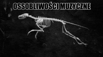 andrzejswietek  GIF