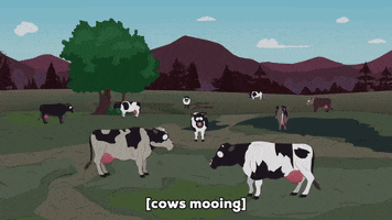 japanese cows GIF by South Park