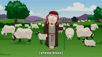 sheep shepherd GIF by South Park  sheep shepherd GIF by South Park