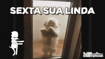 lidi  GIF